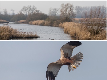 Wandeling in Diksmuide-Woumen op 26 april 2026